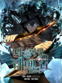 Leveling Solo